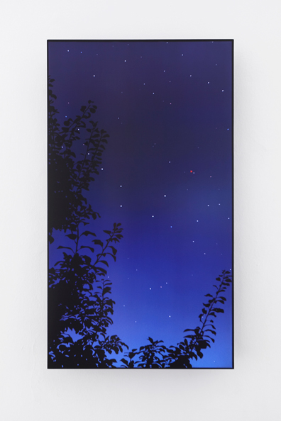 Julian Opie: Fortlaufende Computer Animation auf 55 Zoll LCD Screen,
128 x 75 x 7,3 cm, Ed 4. Lisa Rastl