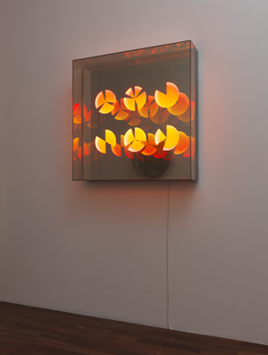 BRIGITTE KOWANZ: 2013, LEDs, Spiegel. 