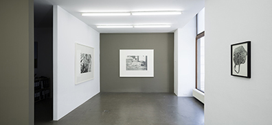 Sonja Gangl: . Sonja Gangl
