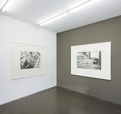 Sonja Gangl: . Sonja Gangl