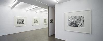 Sonja Gangl: . Sonja Gangl