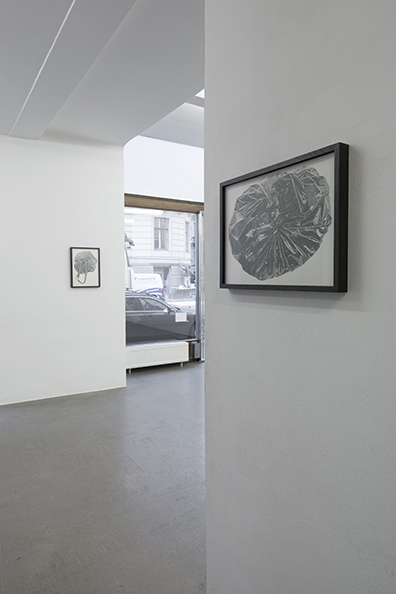 Sonja Gangl: . Sonja Gangl