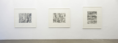 Sonja Gangl: . Sonja Gangl
