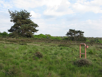 Mirjam  Thomann : 
Lackiertes Stahlrundrohr, Rohrklemmen, lackierte Blechdose, Sand, drei Teile, je 85 x 60 x 16 cm
Installationsansicht: NORTH COST ART TRIENNIAL (Nakkehoved Fyr / Lighthouse, Gilleleje; Rudolph Tegners Museum & Statuepark, Dronningmølle, Munkeruphus, Dronningmølle) 
4. Juni  – 1. November 2016. 