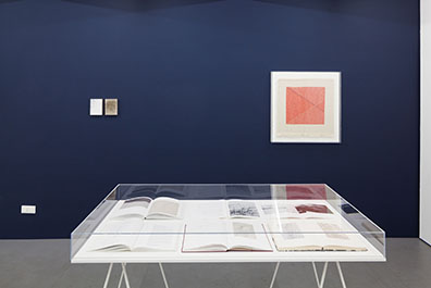  EMAK BAKIA _ curated by_Vienna 2016  "Meine Herkunft habe ich mir selbst ausgedacht": l.: Sofie Thorsen. Courtesy: Krobath Wien
r.:Haleh Redjaian. Courtesy: Galerie Arratia Beer Berlin. Rudolf Strobl
