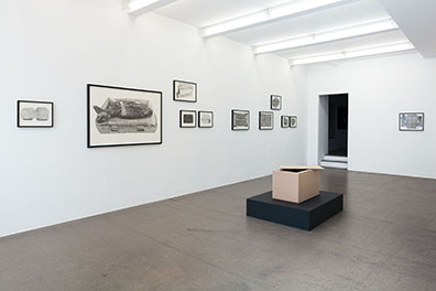 Sonja Gangl : . 