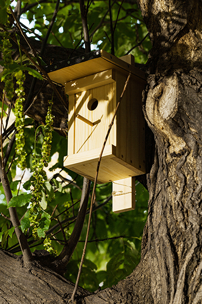 MILIEU _ curated by Mirjam Thomann & Jenni Tischer: 
Nistkasten ( Nest box), 1992
Anbringung des Nistkasten im Freien 
(Installation 2018: Laubbaum Schillerplatz, 1010 Wien)
Zweiteilig.Karte mit Hinweisen zur Anbringung und Pflege des Nistkasten 
Nistkasten: (Holz, Dachpappe), Karte (Offsetdruck auf Karton)
Nistkasten: 45,5 x 20 x 27,5 cm; Karte: 14 x 10,5 cm. Edition,
Unlimitierte Auflage 
Courtesy the artist and Galerie Barbara Weiss, Berlin and Krobath Wien.. n.b.k./Jens Ziehe, 2014