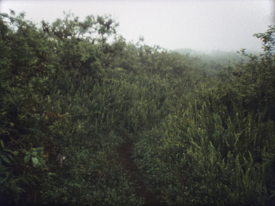 Hannes Böck: Film 16mm, Farbe, Ton, 10 Min, 2012. 