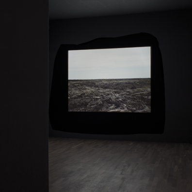 Hannes Böck: . 