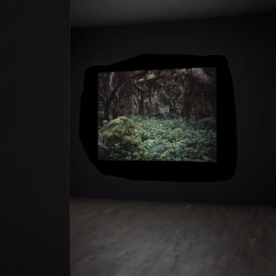 Hannes Böck: . 